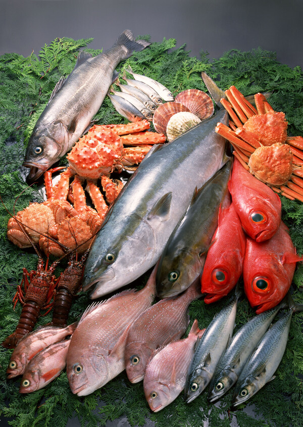 海鲜鱼虾蟹