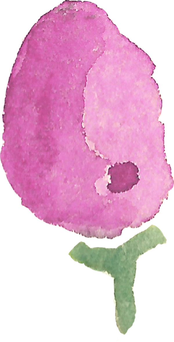 朵粉色水彩墨待放花苞图片素材