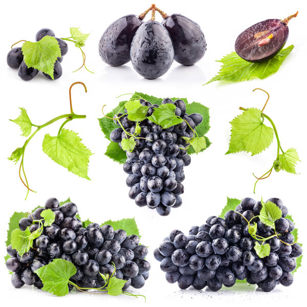 葡萄素材葡萄叶图片