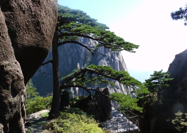 黄山风光图片