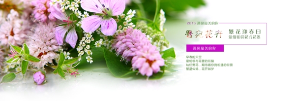 鲜花花卉banner