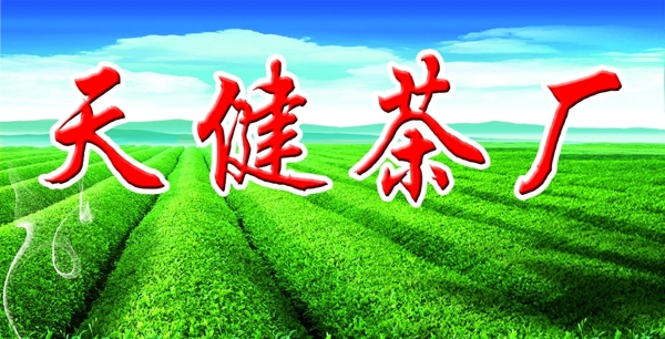 茶厂招牌图片