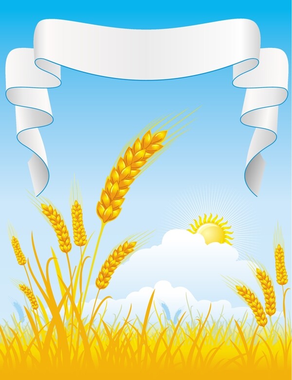 麦穗稻穗图片