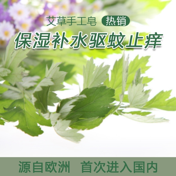 清爽鲜花清新主图背景图片