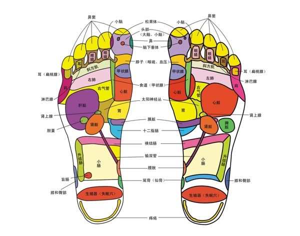 老中医足疗穴位学习图辨识图