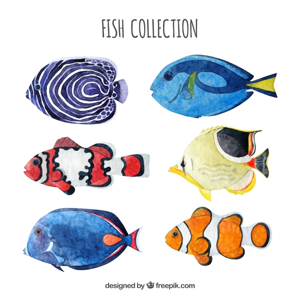6款水彩绘鱼类设计矢量素材