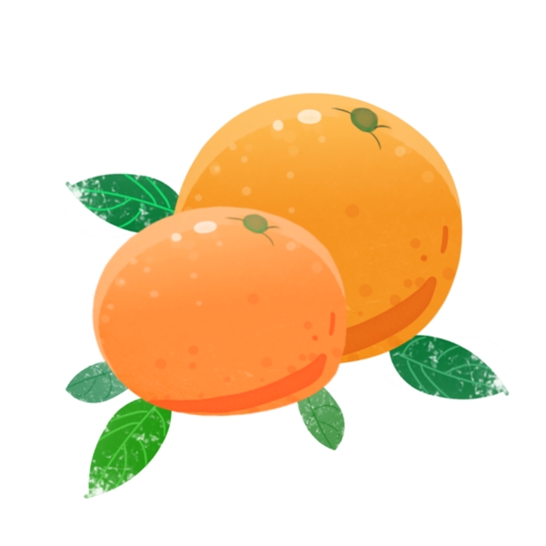 黄色水果橙子