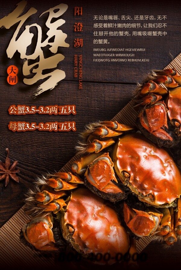 大闸蟹美食食材活动宣传海报