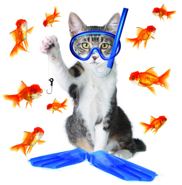 钓鱼的猫与金鱼素材图片