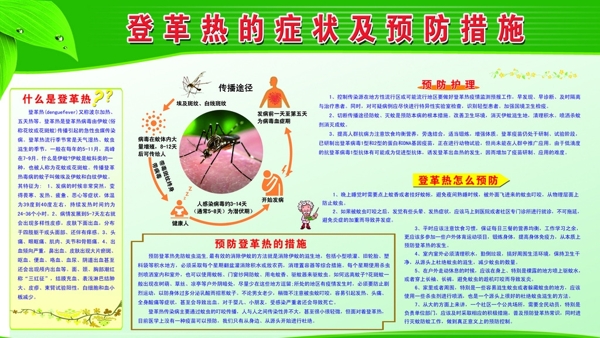 登革热图片