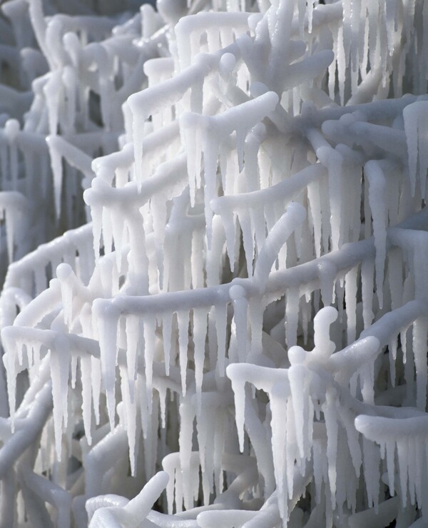 冬季冰冻覆盖的树枝图片