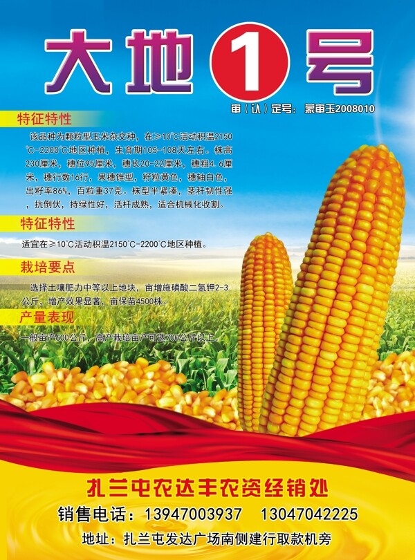 玉米宣传单