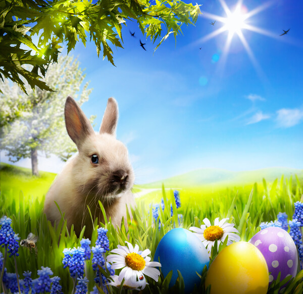 草地上的兔子和彩蛋