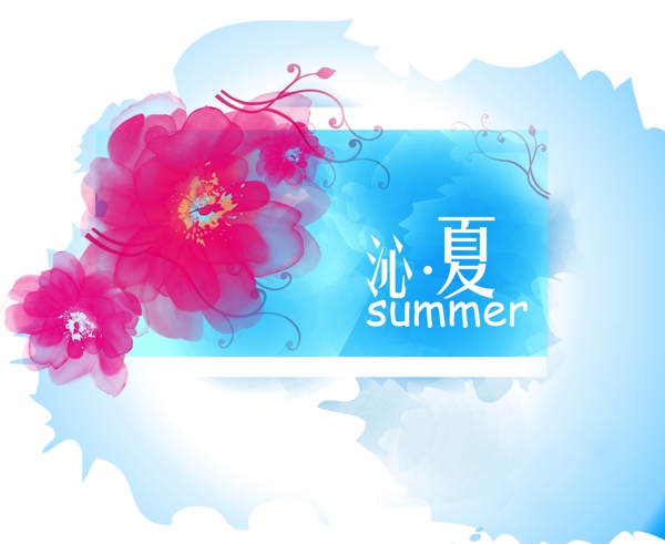 沁夏summer红蓝背景