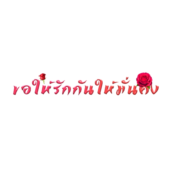 泰国红色字体字体要求稳定稳定要求相爱相爱