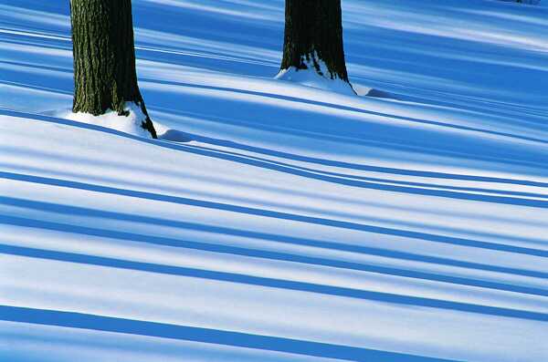 冬天雪景雪景大雪