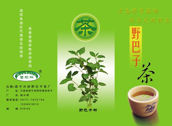 精美茶叶宣传三折页图图片