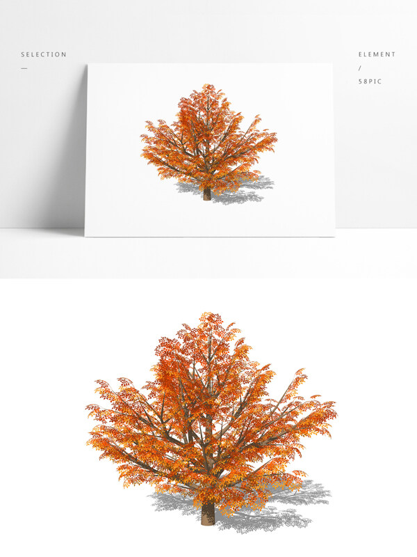一颗秋景树精致su模型