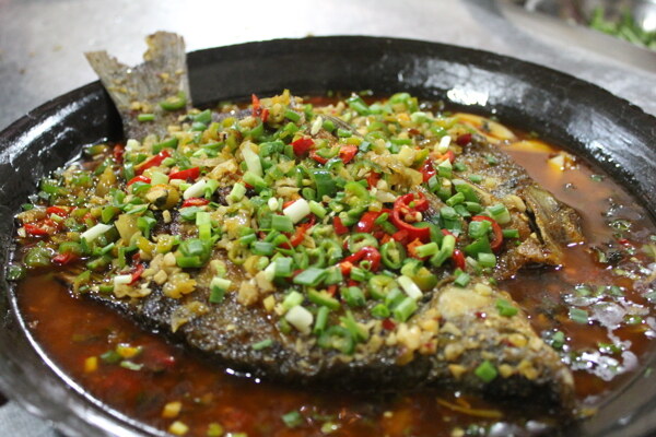 野生桂鱼王图片