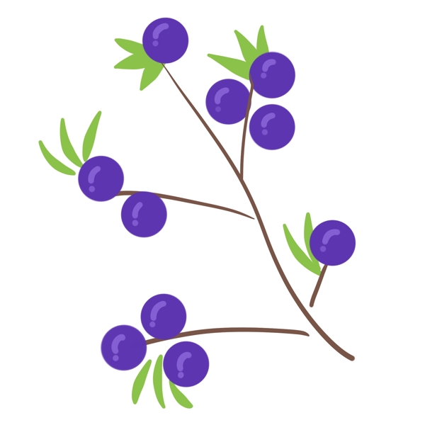 独立枝头的蓝莓数颗