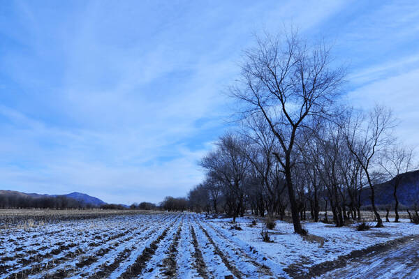 雪景图片