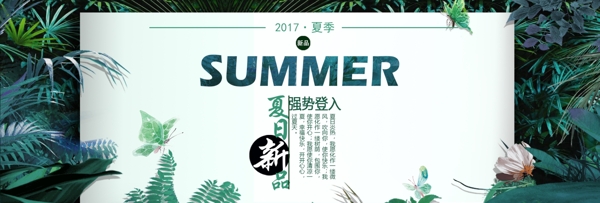 夏日绿色清新banner