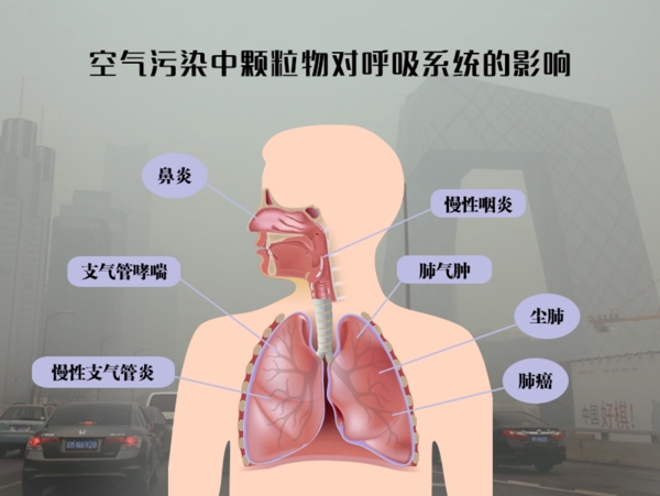 空气污染中颗粒物对呼吸系统影响