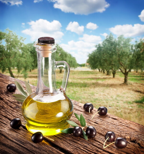 食用油与橄榄果图片