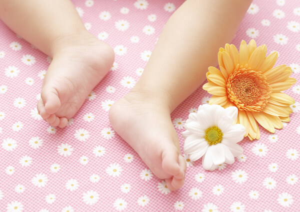 婴儿宝宝的小脚和鲜花图片
