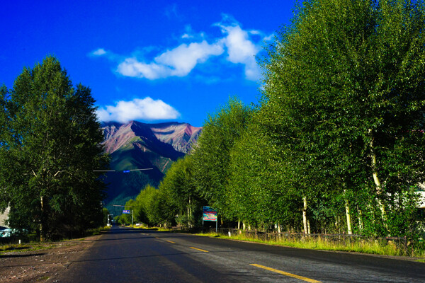 牛心山