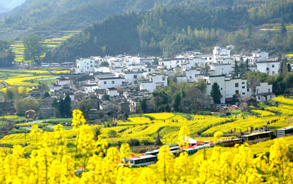 婺源乡村图片