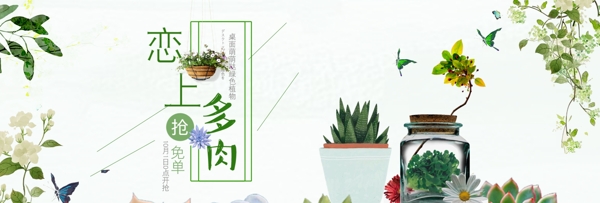 淡绿色小清新花朵多肉绿色植物海报电商海报淘宝banner