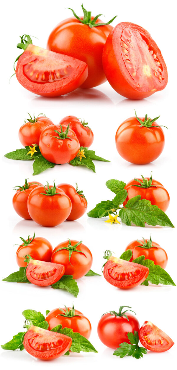 9组切开的西红柿高清图片