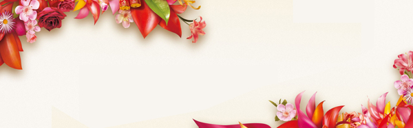 红色花朵边框banner背景素材