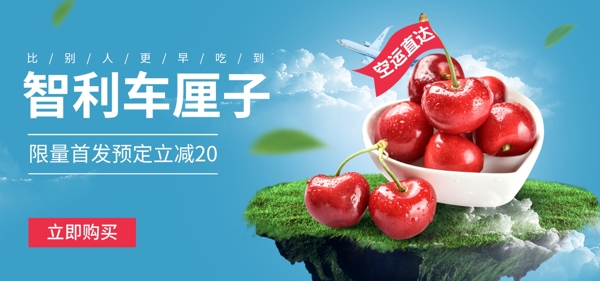 水果车厘子banner