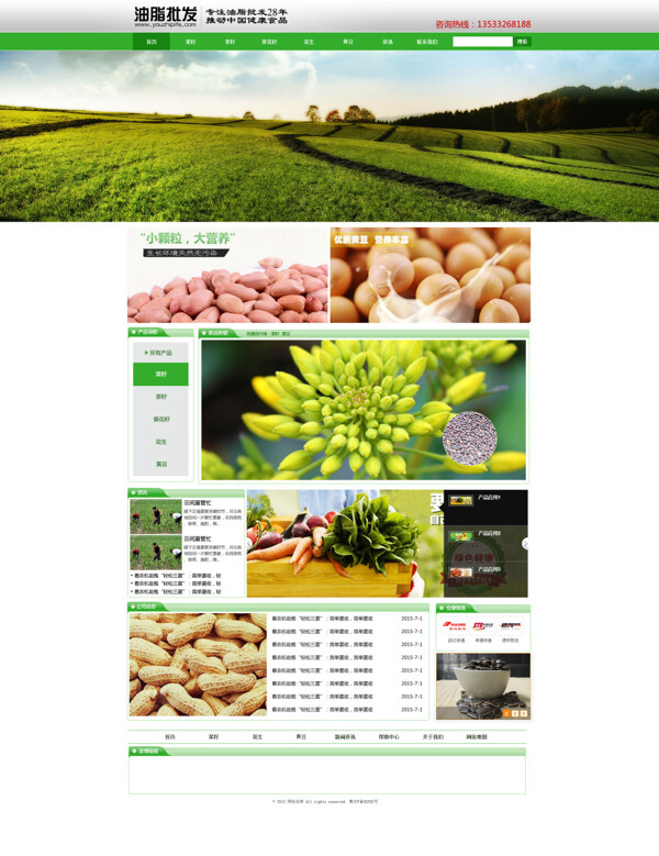 花生豆类油脂食品网站首页设计