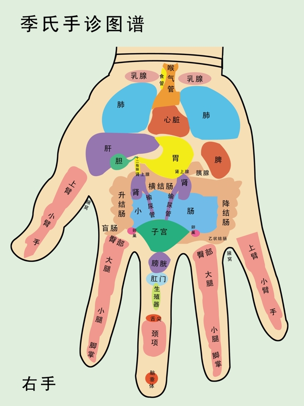 手诊图图片