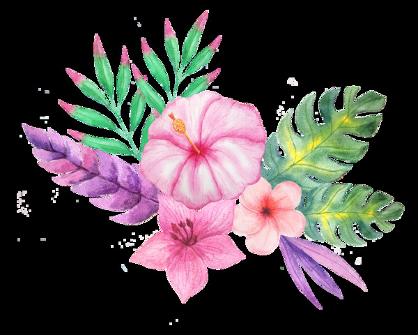 不同种类的花草花束透明装饰素材