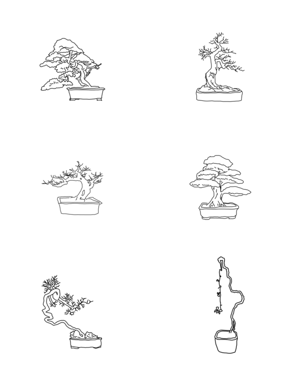 手绘植物盆栽线稿速写稿盆栽植物手绘素材