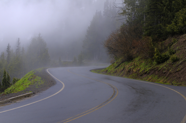 雾与公路图片