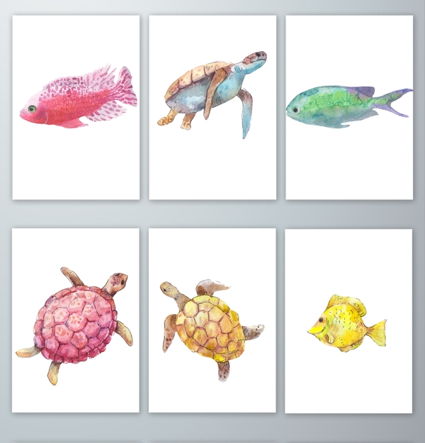 手绘水彩海产动物PNG免抠素材