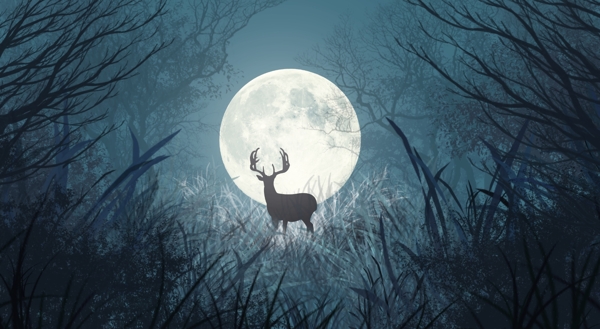 黑夜月亮小鹿插画卡通背景素材