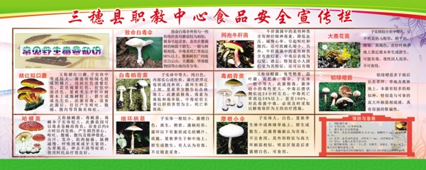 野生菌安全宣传图片