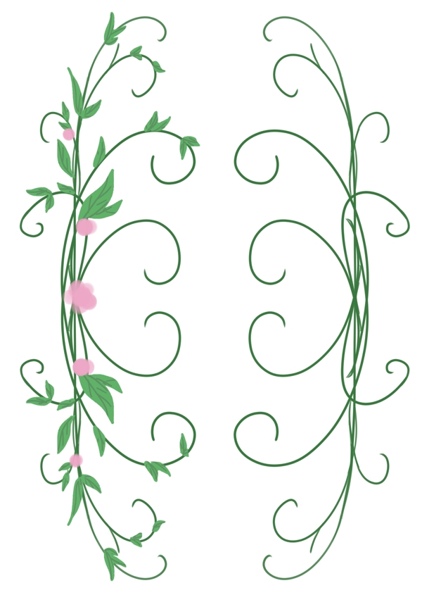 绿色心形花藤插图