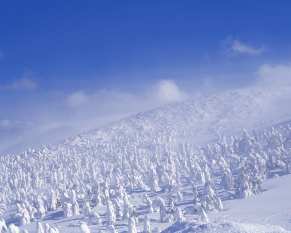 冬天雪景雪景大雪