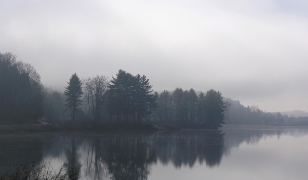 雾天的湖边