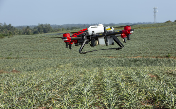 农田上的机器人极飞植保无人机