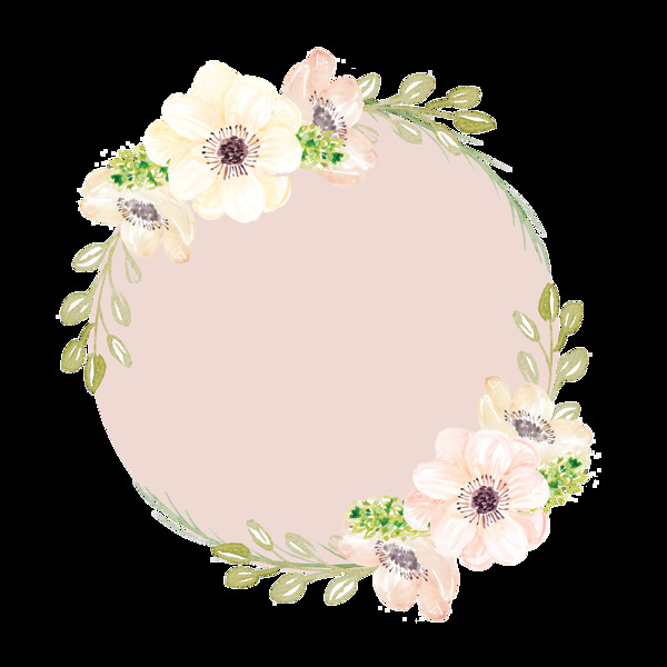 圆盘植物花卉卡通透明素材