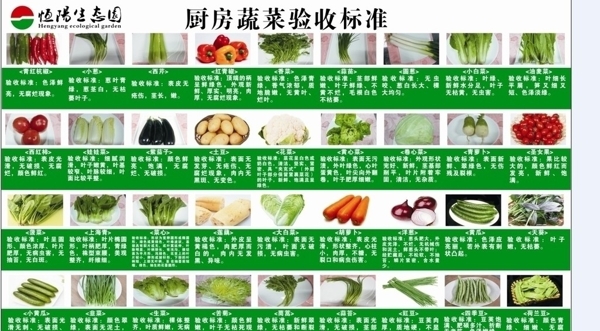 厨房蔬菜验收标准图片