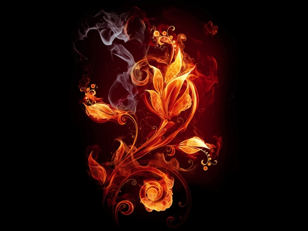高清透明分层火焰燃烧的花朵